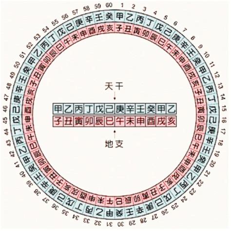 2022天干地支|天干属性 干支纪年对照表